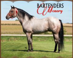 Paternal Grandsire